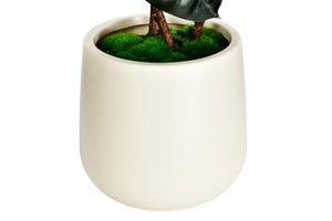 Artificial Rubber Tree with White Pot, 54.5" Tall