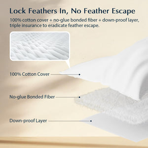 Goose Feather & Down Bed Pillows