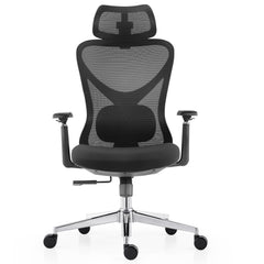 Ergonomic Mesh Office Chair with 3D Adjustable Headrest & Lumbar Support
