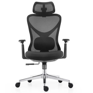 Ergonomic Mesh Office Chair with 3D Adjustable Headrest & Lumbar Support
