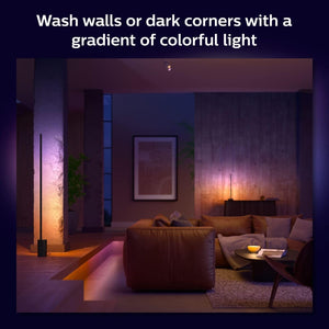 Smart Gradient Floor Lamp with Color Ambiance – Black & White
