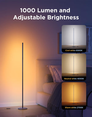 RGBIC Smart LED Floor Lamp with Music Sync, 1000lm