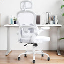 Ergonomic Mesh Office Chair with Lumbar Support & Headrest