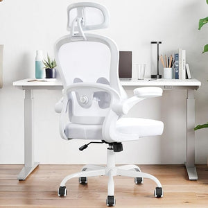 Ergonomic Mesh Office Chair with Lumbar Support & Headrest