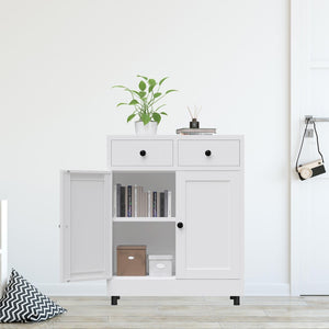Metal Storage Cabinet with 2 Drawers & Adjustable Shelf