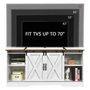 Farmhouse Barn Door TV Stand with Storage
