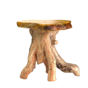 Natural Tree Stump Side Table — Live Edge, 19"