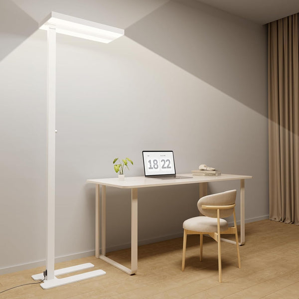 LED Dual-Source Smart Floor Lamp