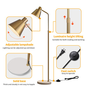 Gold Brass Adjustable LED Floor Lamp