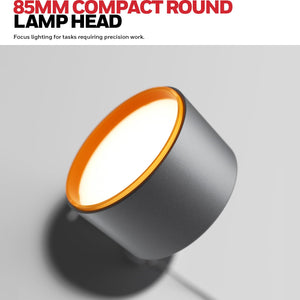 Full Spectrum LED Desk Lamp with Adjustable Swing Arm