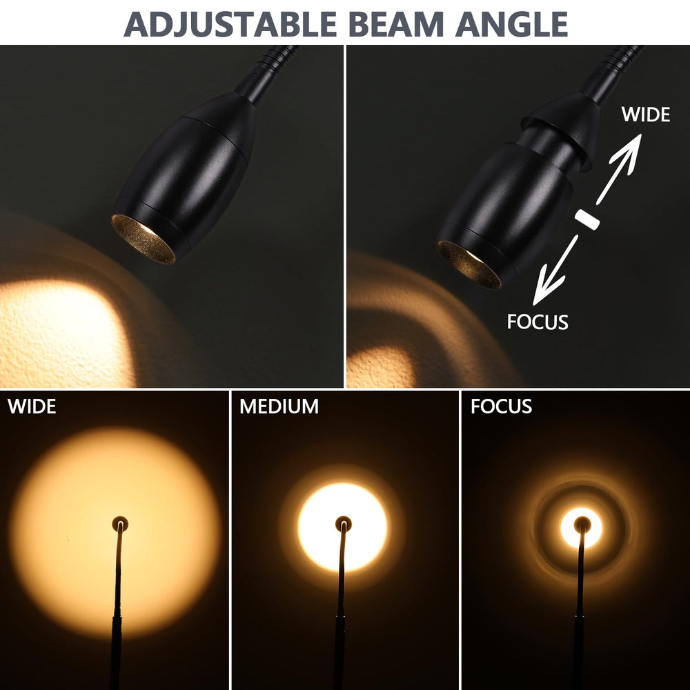 Gooseneck LED Floor Lamp with Remote & Touch Control