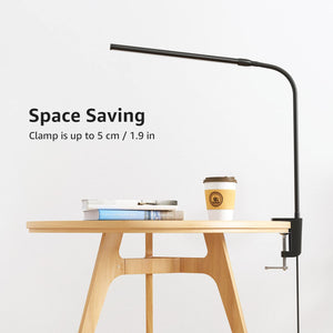 Clip-On LED Desk Lamp with Gooseneck & USB Power