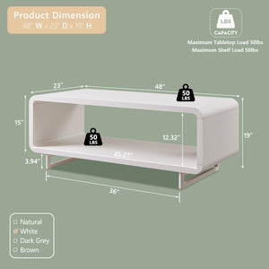 48" 2-Tier Coffee Table with Storage Shelf