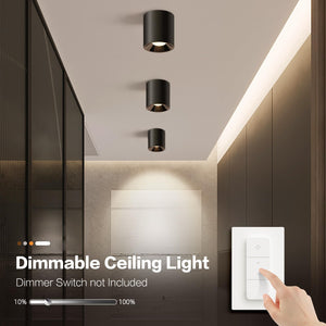 20W LED Flush Mount Ceiling Light – Dimmable COB Cylinder, 4000K