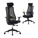 Fluido Ergonomic High Back Mesh Office Chair with Adjustable Lumbar Support & 3D Armrests