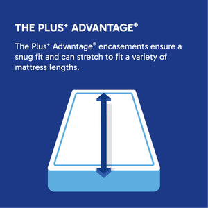 Waterproof Mattress Encasement with Zipper – All Sizes