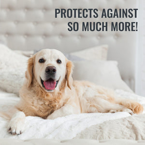 Waterproof Mattress Protector – Fitted & Zippered, Full & King, Pack of 24