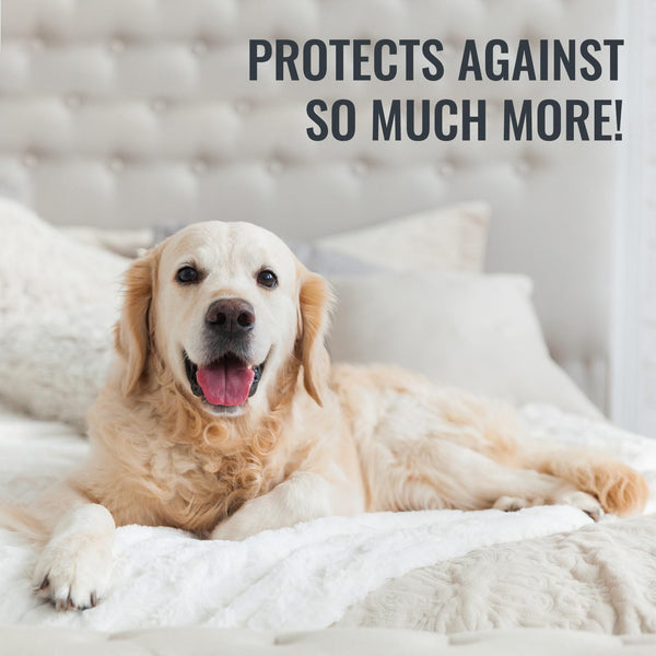Waterproof Mattress Protector – Fitted & Zippered, Full & King, Pack of 24