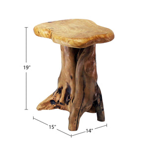 Natural Tree Stump Side Table — Live Edge, 19"