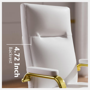 High Back Executive Office Chair with Memory Foam