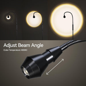Adjustable LED Beam Floor Lamp with Gooseneck