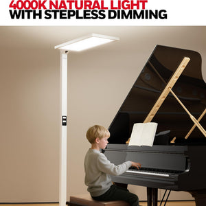 LED Dual-Source Smart Floor Lamp