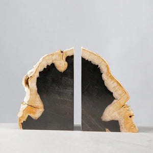 Petrified Wood Bookends Set