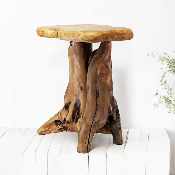 Natural Tree Stump Side Table — Live Edge, 19"