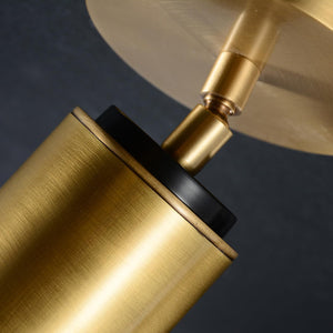 Adjustable Brass Ceiling Spotlight – Dimmable Directional Wall Light Fixture