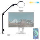 LED Desk Lamp with USB Charging & Swing Arm