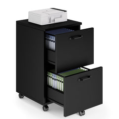 2-Drawer Rolling Filing Cabinet with Printer Stand