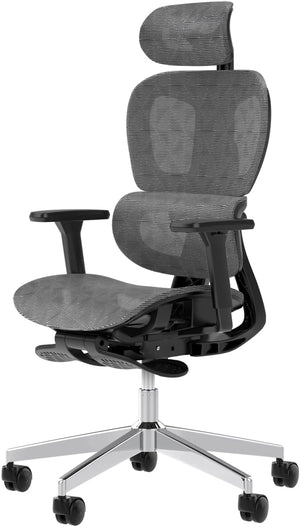 Ergonomic Mesh Office Chair with Adjustable Lumbar Support