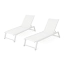 Outdoor Mesh Chaise Lounges Set of 2