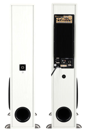Home Theater Tower Speaker System with Subwoofers & Bluetooth