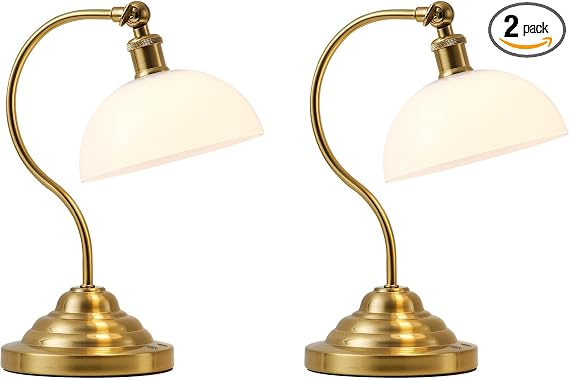 Cordless LED Table Lamp with Swing Arm & Plastic Shade