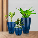 Round Plastic Plant Pots Set of 3 with Drainage Hole and Saucer