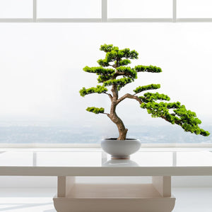 Artificial Bonsai Tree with Ceramic Pot — Indoor Faux Juniper Plant Decor