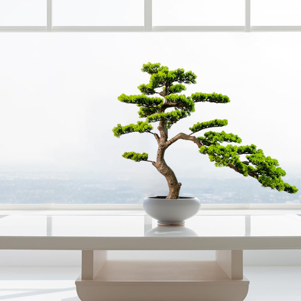Artificial Bonsai Tree with Ceramic Pot — Indoor Faux Juniper Plant Decor