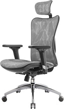 Ergonomic Mesh Office Chair High Back with Lumbar Support & Adjustable Headrest
