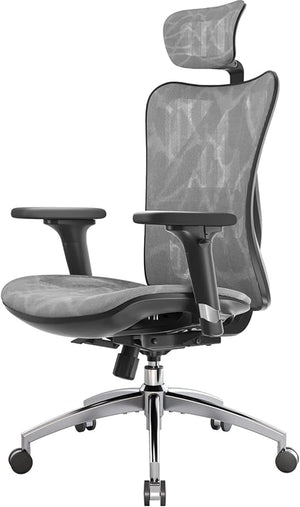 Ergonomic Mesh Office Chair High Back with Lumbar Support & Adjustable Headrest