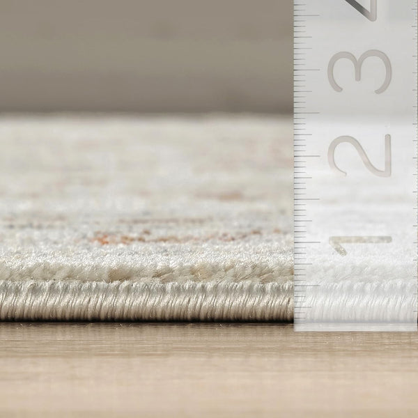 Oriental & Vintage Beige Area Rug