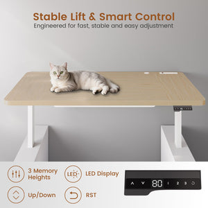 63" Electric Standing Desk with Storage & Power Outlets