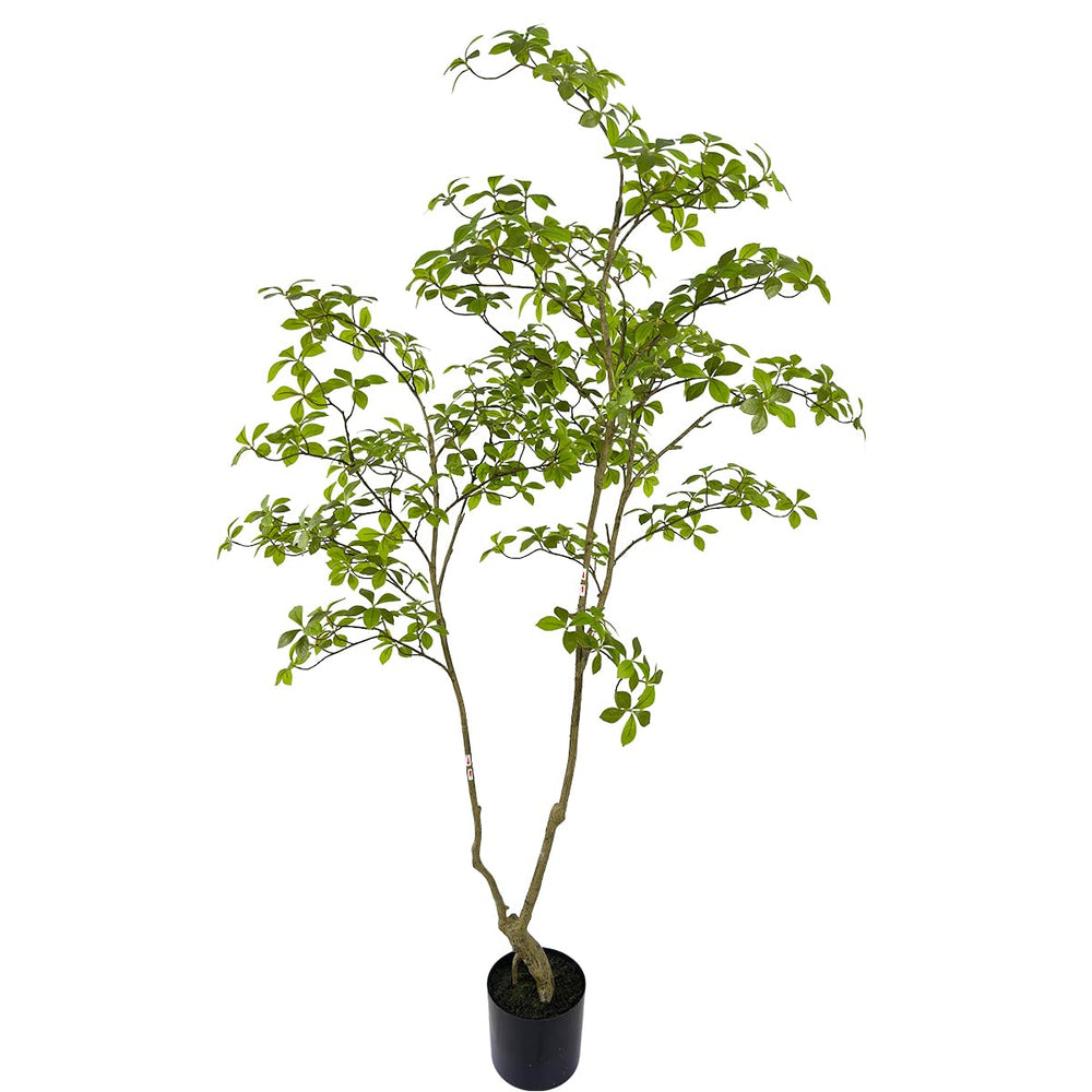 Artificial Gardenia Tree for Indoor Decor