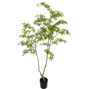 Artificial Gardenia Tree for Indoor Decor