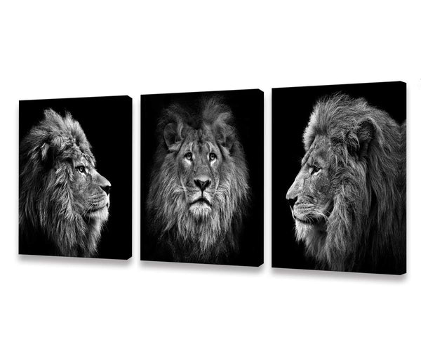 Black & White Lion Canvas Wall Art – 3 Piece Framed Set