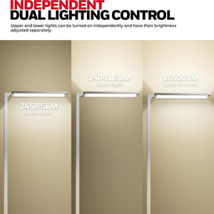 LED Dual-Source Smart Floor Lamp