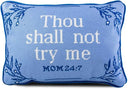 Needlepoint Throw Pillow – Wool Embroidered Accent Pillow