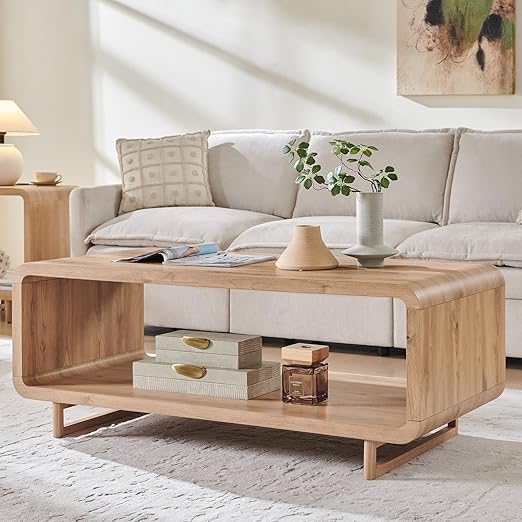 2-Tier Coffee Table with Storage Shelf | Curved Design | 48"