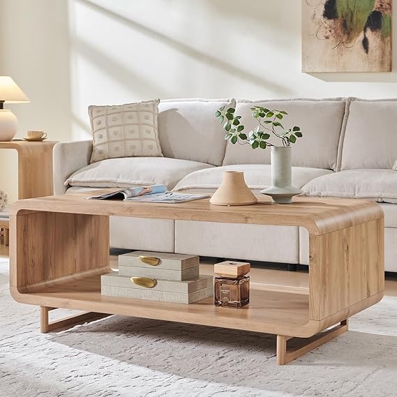 48" 2-Tier Coffee Table with Storage Shelf