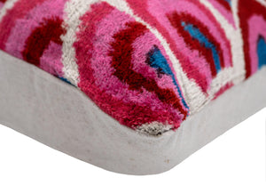 Velvet Throw Pillow with Down Feather Insert – 16x24 Geometric Swirl